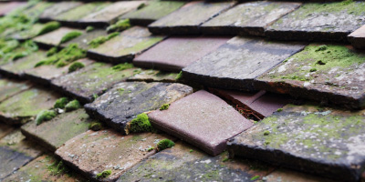 Perranporth roof repair costs